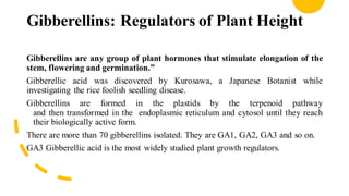 Gibberellins: Regulators of Plant Height
Gibberellins are any group of plant hormones that stimulate elongation of the
stem, flowering and germination.”
Gibberellic acid was discovered by Kurosawa, a Japanese Botanist while
investigating the rice foolish seedling disease.
Gibberellins are formed in the plastids by the terpenoid pathway
and then transformed in the endoplasmic reticulum and cytosol until they reach
their biologically active form.
There are more than 70 gibberellins isolated. They are GA1, GA2, GA3 and so on.
GA3 Gibberellic acid is the most widely studied plant growth regulators.
 