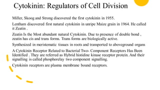 Cytokinin: Regulators of Cell Division
Miller, Skoog and Strong discovered the first cytokinin in 1955.
Lentham discovered first natural cytokinin in unripe Maize grain in 1964. He called
it Zeatin .
Zeatin Is the Most abundant natural Cytokinin. Due to presence of double bond ,
zeatin has cis and trans forms. Trans forms are biologically active.
Synthesized in meristematic tissues in roots and transported to aboveground organs
A Cytokinin Receptor Related to Bacterial Two- Component Receptors Has Been
Identified . They are referred as Hybrid histidine kinase receptor protein. And their
signalling is called phosphorelay two component signalling.
Cytokinin receptors are plasma membrane bound receptors.
 