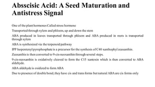 Absscisic Acid: A Seed Maturation and
Antistress Signal
One of the plant hormones Called stress hormone
Transported through xylem and phloem, up and down the stem
ABA produced in leaves transported through phloem and ABA produced in roots is transported
through xylem
ABA is synthesized via the terpenoid pathway
IPP Isopentenyl pyrophosphateis a precursor for the synthesis of C40 xanthophylzeaxanthin.
Zeaxanthis is then converted to 9-cis-neoxanthin through several steps.
9-cis-neoxanthin is oxidatively cleaved to form the C15 xantoxin which is then converted to ABA
aldehyde.
ABA aldehyde is oxidized to formABA
Due to presence of doublebond,they have cis and trans forms but natural ABAare cis forms only
 