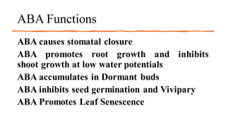ABA Functions
ABA causes stomatal closure
ABA promotes root growth and inhibits
shoot growth at low water potentials
ABA accumulates in Dormant buds
ABA inhibits seed germination and Vivipary
ABA Promotes Leaf Senescence
 
