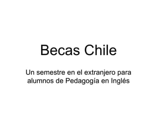 Becas Chile Un semestre en el extranjero para alumnos de Pedagogía en Inglés 