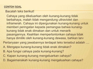 CONTOH SOAL
Bacalah teks berikut!
Cahaya yang dikeluarkan oleh kunang-kunang tidak
berbahaya, malah tidak mengandung ultraviolet dan
inframerah. Cahaya ini dipergunakan kunang-kunang untuk
memberi peringatan kepada pemangsa bahwa kunang-
kunang tidak enak dimakan dan untuk menarik
pasangannya. Keahlian mempertontonkan cahaya tidak
hanya dimiliki oleh kunang-kunang dewasa, bahkan larv
Pertanyaan yang jawabannya terdapat teks tersebut adalah ....
A. Mengapa kunang-kunang tidak enak dimakan?
B. Apa fungsi cahaya pada kunang-kunang?
C. Kapan kunang-kunang mengeluarkan cahaya?
D. Bagaimanakah kunang-kunang mengeluarkan cahaya?
 
