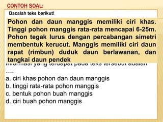 CONTOH SOAL:
Keadaan dunia yang semakin
mengglobal secara tidak langsung telah
memaksa kita untuk mempertajam
pengamatan kita terhadap informasi-
informasi yang beredar. Selain itu,
keadaan ini juga telah menuntut kita
untuk memperbaiki kualitas diri. Salah
satu kunci untuk mencapai beberapa
poin tersebut adalah dengan membaca.
Bacalah teks berikut!
Informasi yang terdapat pada teks tersebut adalah
….
a. ciri khas pohon dan daun manggis
b. tinggi rata-rata pohon manggis
c. bentuk pohon buah manggis
d. ciri buah pohon manggis
Pohon dan daun manggis memiliki ciri khas.
Tinggi pohon manggis rata-rata mencapai 6-25m.
Pohon tegak lurus dengan percabangan simetri
membentuk kerucut. Manggis memiliki ciri daun
rapat (rimbun) duduk daun berlawanan, dan
tangkai daun pendek
 
