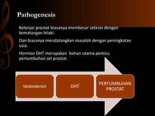 Pathogenesis
Kelenjar prostat biasanya membesar selaras dengan
kematangan lelaki.
Dan biasanya mendatangkan masalah dengan peningkatan
usia.
Hormon DHT merupakan bahan utama pemicu
pertumbuhan sel prostat
testosteron DHT
PERTUMBUHAN
PROSTAT
 