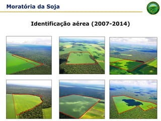 MONITORAMENTO
Identificação aérea (2007-2014)
Moratória da Soja
 