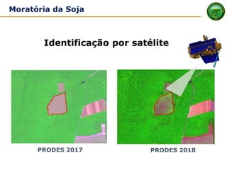 PRODES 2017 PRODES 2018
Identificação por satélite
Moratória da Soja
 