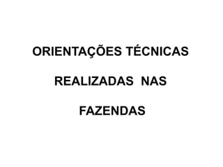 ORIENTAÇÕES TÉCNICAS
REALIZADAS NAS
FAZENDAS
 