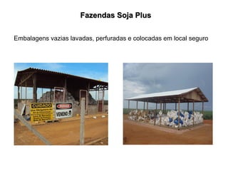 Embalagens vazias lavadas, perfuradas e colocadas em local seguro
Fazendas Soja Plus
 