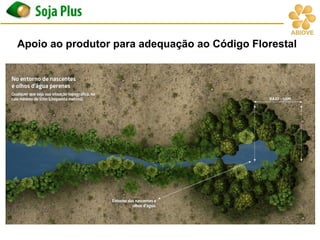 Apoio ao produtor para adequação ao Código Florestal
 