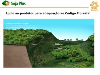 Apoio ao produtor para adequação ao Código Florestal
 