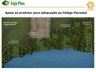 Apoio ao produtor para adequação ao Código Florestal
 