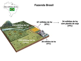 554 milhões de ha
(65%)
67 milhões de ha
(8%)
38 milhões de ha
(5%)
192 milhões de ha
(22%)
Fazenda Brasil
851 milhões de ha
34 milhões de ha
com plantio de soja
(4%)
 