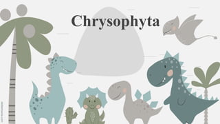 slidesmania.com
Chrysophyta
 