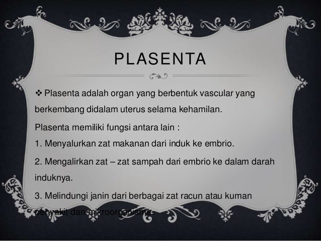 Fertilisasi