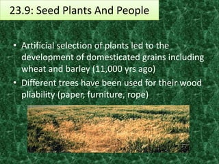 23.9: Seed Plants And People

• Artificial selection of plants led to the
  development of domesticated grains including
  wheat and barley (11,000 yrs ago)
• Different trees have been used for their wood
  pliability (paper, furniture, rope)
 