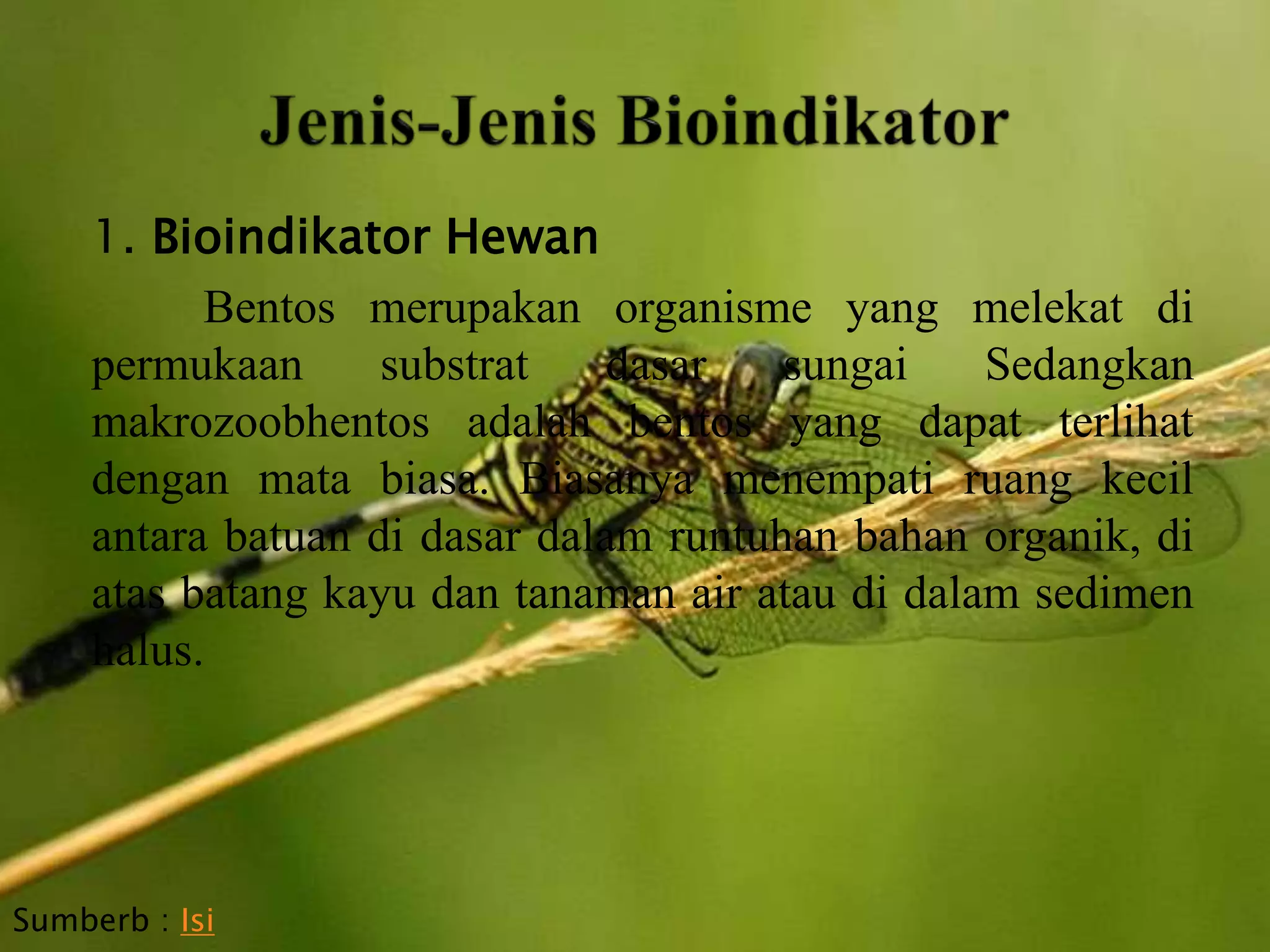 Bioindikator Alat Penting