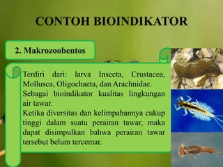 2. Makrozoobentos
Terdiri dari: larva Insecta, Crustacea,
Mollusca, Oligochaeta, dan Arachnidae.
Sebagai bioindikator kualitas lingkungan
air tawar.
Ketika diversitas dan kelimpahannya cukup
tinggi dalam suatu perairan tawar, maka
dapat disimpulkan bahwa perairan tawar
tersebut belum tercemar.
 