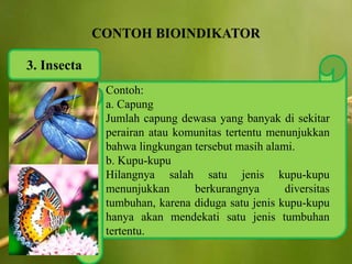 3. Insecta
Contoh:
a. Capung
Jumlah capung dewasa yang banyak di sekitar
perairan atau komunitas tertentu menunjukkan
bahwa lingkungan tersebut masih alami.
b. Kupu-kupu
Hilangnya salah satu jenis kupu-kupu
menunjukkan berkurangnya diversitas
tumbuhan, karena diduga satu jenis kupu-kupu
hanya akan mendekati satu jenis tumbuhan
tertentu.
 