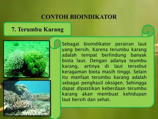 7. Terumbu Karang
Sebagai bioindikator perairan laut
yang bersih. Karena terumbu karang
adalah tempat berlindung banyak
biota laut. Dengan adanya teumbu
karang, artinya di laut tersebut
keragaman biota masih tinggi. Selain
itu manfaat terumbu karang adalah
sebagai penghasil oksigen. Sehingga
dapat dipastikan keberdaan terumbu
karang akan membuat kehidupan
laut bersih dan sehat.
 