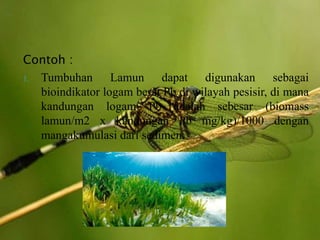 Contoh :
1. Tumbuhan Lamun dapat digunakan sebagai
bioindikator logam berat Pb di wilayah pesisir, di mana
kandungan logam Pb adalah sebesar (biomass
lamun/m2 x kandungan Pb mg/kg)/1000 dengan
mangakumulasi dari sedimen.
 