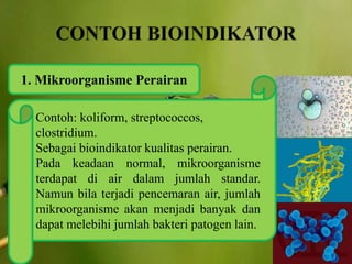 1. Mikroorganisme Perairan
Contoh: koliform, streptococcos,
clostridium.
Sebagai bioindikator kualitas perairan.
Pada keadaan normal, mikroorganisme
terdapat di air dalam jumlah standar.
Namun bila terjadi pencemaran air, jumlah
mikroorganisme akan menjadi banyak dan
dapat melebihi jumlah bakteri patogen lain.
 
