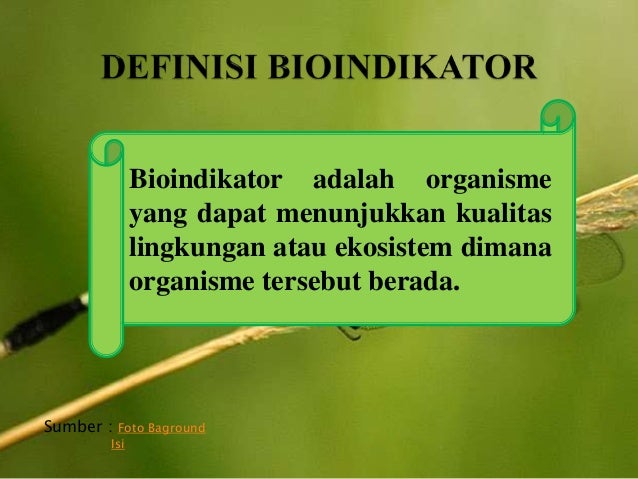 PPT bioindikator