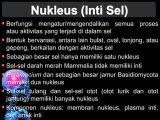 Berfungsi mengatur/mengendalikan semua proses 
atau aktivitas yang terjadi di dalam sel 
Bentuk bervariasi, antara lain bulat, oval, lonjong, atau 
gepeng, berkaitan dengan aktivitas sel 
Sebagian besar sel hanya memiliki satu nukleus 
Sel-sel darah merah Mammalia tidak memiliki inti 
Paramecium dan sebagian besar jamur Basidiomycota 
memiliki dua nukleus 
Sel-sel tulang dan sel-sel otot (otot lurik dan otot 
jantung) memiliki banyak nukleus 
Komponen nukleus: membran nukleus, plasma inti, 
dan anak inti 
 