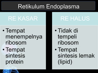 Retikulum Endoplasma 
 