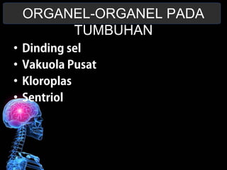 ORGANEL-ORGANEL PADA 
TUMBUHAN 
• Dinding sel 
• Vakuola Pusat 
• Kloroplas 
• Sentriol 
 