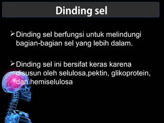 Dinding sel 
Dinding sel berfungsi untuk melindungi 
bagian-bagian sel yang lebih dalam. 
Dinding sel ini bersifat keras karena 
disusun oleh selulosa,pektin, glikoprotein, 
dan hemiselulosa 
 