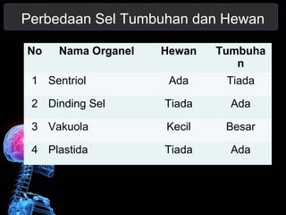 Perbedaan Sel Tumbuhan dan Hewan 
No Nama Organel Hewan Tumbuha 
n 
1 Sentriol Ada Tiada 
2 Dinding Sel Tiada Ada 
3 Vakuola Kecil Besar 
4 Plastida Tiada Ada 
 