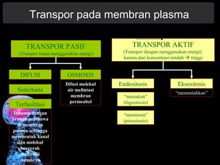 Transpor pada membran plasma 
TRANSPOR PASIF 
(Transpor tanpa menggunakan energi) 
TRANSPOR AKTIF 
(Transpor dengan menggunakan energi) 
karena dari konsentrasi rendah  tinggi 
DIFUSI OSMOSIS 
Sederhana 
Terfasilitasi 
Dibantu dengan 
protein pembawa 
di membran 
palsma sehingga 
membentuk kanal 
dan molekul 
bergerak 
melintasi 
membran 
Difusi molekul 
air melintasi 
membran 
permeabel 
Endositosis Eksositosis 
“memakan” 
(fagositosis) 
“memuntahkan” 
“meminum” 
(pinositosis) 
 