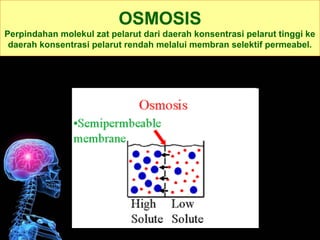 OSMOSIS 
Perpindahan molekul zat pelarut dari daerah konsentrasi pelarut tinggi ke 
daerah konsentrasi pelarut rendah melalui membran selektif permeabel. 
 