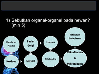 1) Sebutkan organel-organel pada hewan? 
(min 5) 
 