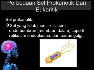 Perbedaan Sel Prokariotik Dan 
Eukaritik 
Sel prokariotik: 
Sel yang tidak memiliki sistem 
endomembran (membran dalam) seperti 
retikulum endoplasma, dan badan golgi. 
 