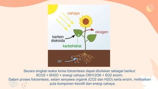 Secara singkat reaksi kimia fotosintesis dapat dituliskan sebagai berikut:
6CO2 + 6H2O + energi cahaya C6H12O6 + 6O2 enzim.
Dalam proses fotosintesis, selain senyawa organik (CO2 dan H2O) serta enzim, melibatkan
pula komponen klorofil dan energi cahaya.
 