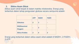 3. Siklus Asam Sitrat
Siklus asam sitrat terjadi di dalam matriks mitokondria. Energi yang
terbentuk dalam tahap penguraian glukosa secara sempurna adalah:
Energi yang terbentuk dalam siklus asam sitrat adalah 6 NADH+, 2 FADH+,
2 ATP.
ATP NADH FADH
Glikolisis 2 2 -
DO(Dissolved
Oxygen)
- 2 -
Siklus Krebbs 2 6 2
 