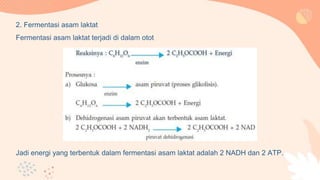 2. Fermentasi asam laktat
Fermentasi asam laktat terjadi di dalam otot
Jadi energi yang terbentuk dalam fermentasi asam laktat adalah 2 NADH dan 2 ATP.
 