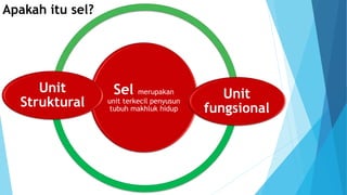 Apakah itu sel?
Sel merupakan
unit terkecil penyusun
tubuh makhluk hidup
Unit
Struktural
Unit
fungsional
 
