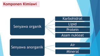 Komponen Kimiawi
Senyawa anorganik
Air
Mineral
Senyawa organik
Karbohidrat
Lipid
Protein
Asam nukleat
 