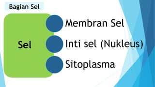 Bagian Sel
Sel
Membran Sel
Inti sel (Nukleus)
Sitoplasma
 