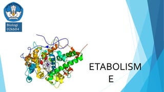 Biologi
02kb04
METABOLISM
E