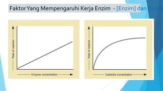 FaktorYang Mempengaruhi Kerja Enzim - [Enzim] dan [Subst
 