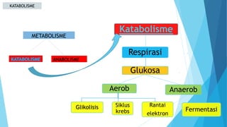 METABOLISME
ANABOLISME
Respirasi
Glukosa
Aerob
Glikolisis Siklus
krebs
Rantai
elektron
Anaerob
Fermentasi
Katabolisme
KATABOLISME