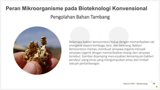Modul 6 KB1 - Bioteknologi
Peran Mikroorganisme pada Bioteknologi Konvensional
19
Pengolahan Bahan Tambang
Beberapa bakteri kemosintesis hidup dengan memanfaatkan zat
anorganik seperti tembaga, besi, dan belerang. Bakteri
kemosintesis mampu membuat senyawa organik menjadi
senyawa organik dengan memanfaatkan energi dari senyawa
tersebut. Gambar disamping menunjukkan kemampuan bakteri
pendaur ulang emas yang mengumpulkan emas dari limbah
sebuah pertambangan.
 
