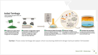Modul 6 KB1 - Bioteknologi 20
Gambar. Proses isolasi tembaga dari papan sirkuit sisa barang elektronik dengan bantuan bakteri Ferrooxidan
 