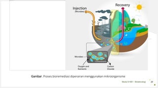 Modul 6 KB1 - Bioteknologi 23
Gambar. Proses bioremediasi diperairan menggunakan mikroorganisme
 