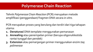 Tehnik Polymerase Chain Reaction (PCR) merupakan metode
amplifikasi (penggandaan) fragmen DNA secara in vitro.
PCR merupakan proses yang berulang dan terdiri dari tiga tahapan
utama:
1. Denaturasi DNA template menggunakan pemanasan
2. Annealing atau penempelan primer (berupa oligonukleotida
rantai tunggal dan pendek)
3. Extension atau pemanjangan primer menggunakan enzim taq
polimerase
Polymerase Chain Reaction
 