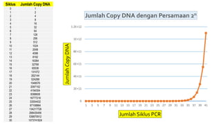 0
2E+11
4E+11
6E+11
8E+11
1E+12
1.2E+12
1 3 5 7 9 11 13 15 17 19 21 23 25 27 29 31 33 35 37 39 41
JumlahCopyDNA
Jumlah Siklus PCR
Jumlah Copy DNA dengan Persamaan 2n
Siklus Jumlah Copy DNA
0 1
1 2
2 4
3 8
4 16
5 32
6 64
7 128
8 256
9 512
10 1024
11 2048
12 4096
13 8192
14 16384
15 32768
16 65536
17 131072
18 262144
19 524288
20 1048576
21 2097152
22 4194304
23 8388608
24 16777216
25 33554432
26 67108864
27 134217728
28 268435456
29 536870912
30 1073741824
 