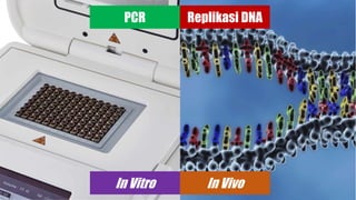 PCR Replikasi DNA
In Vitro In Vivo
 